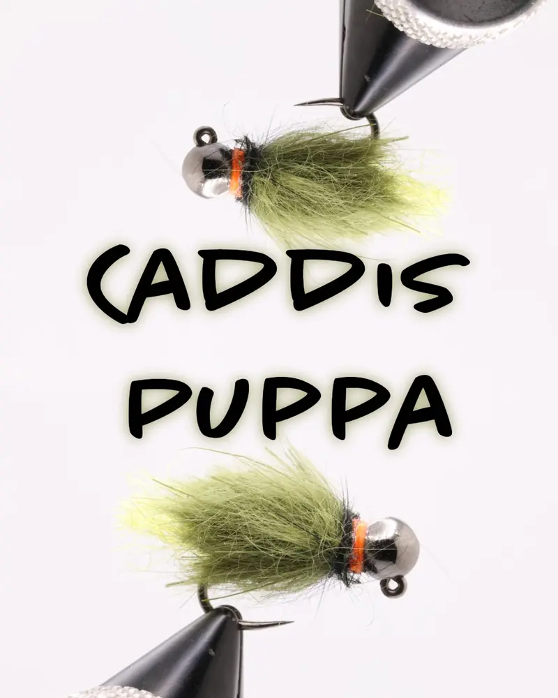 Bead Head Olive Caddis Pupa