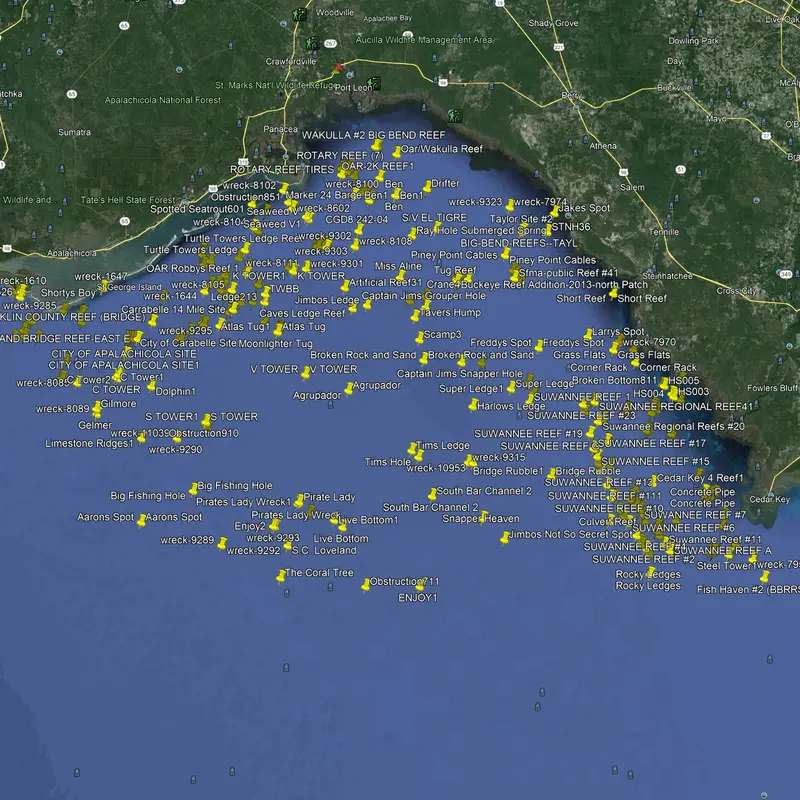 Big Bend Fishing Hotspots: Steinhatchee & Apalachicola Angling Reports