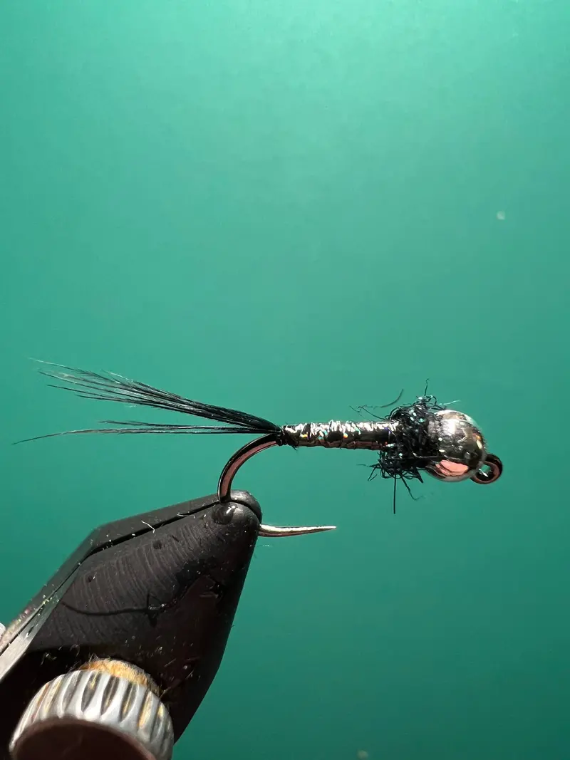 Black Holographic Rainbow Warrior Dry Fly