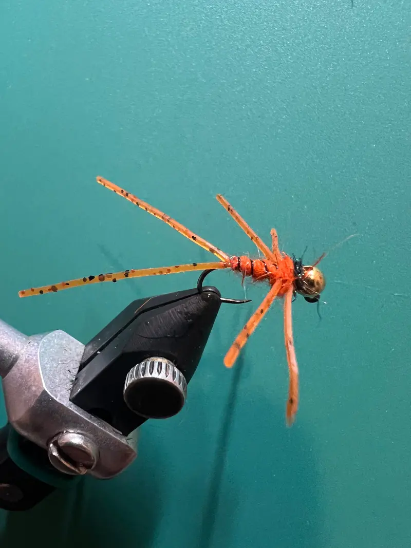 Burnt Orange Little Stonefly Nymph