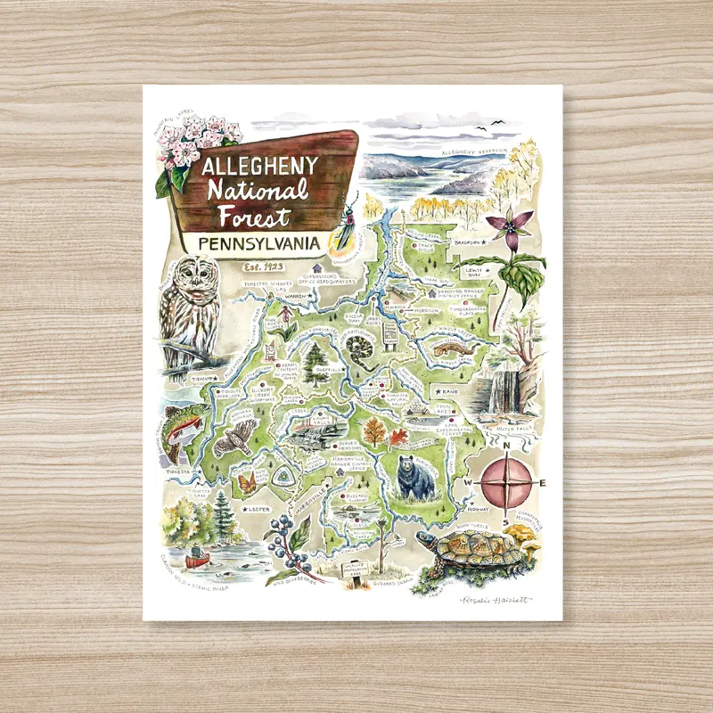 Illustrated Allegheny National Forest Map