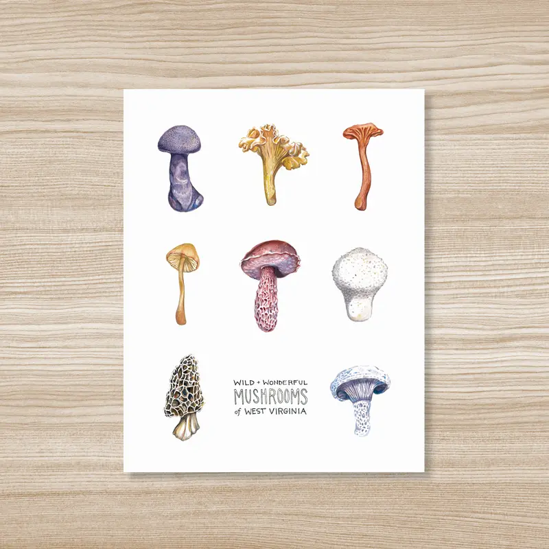 Mushrooms of West Virginia – Watercolor Art Print by Rosalie Haizlett