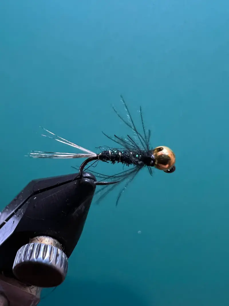Peacock Black Duracell Nymph