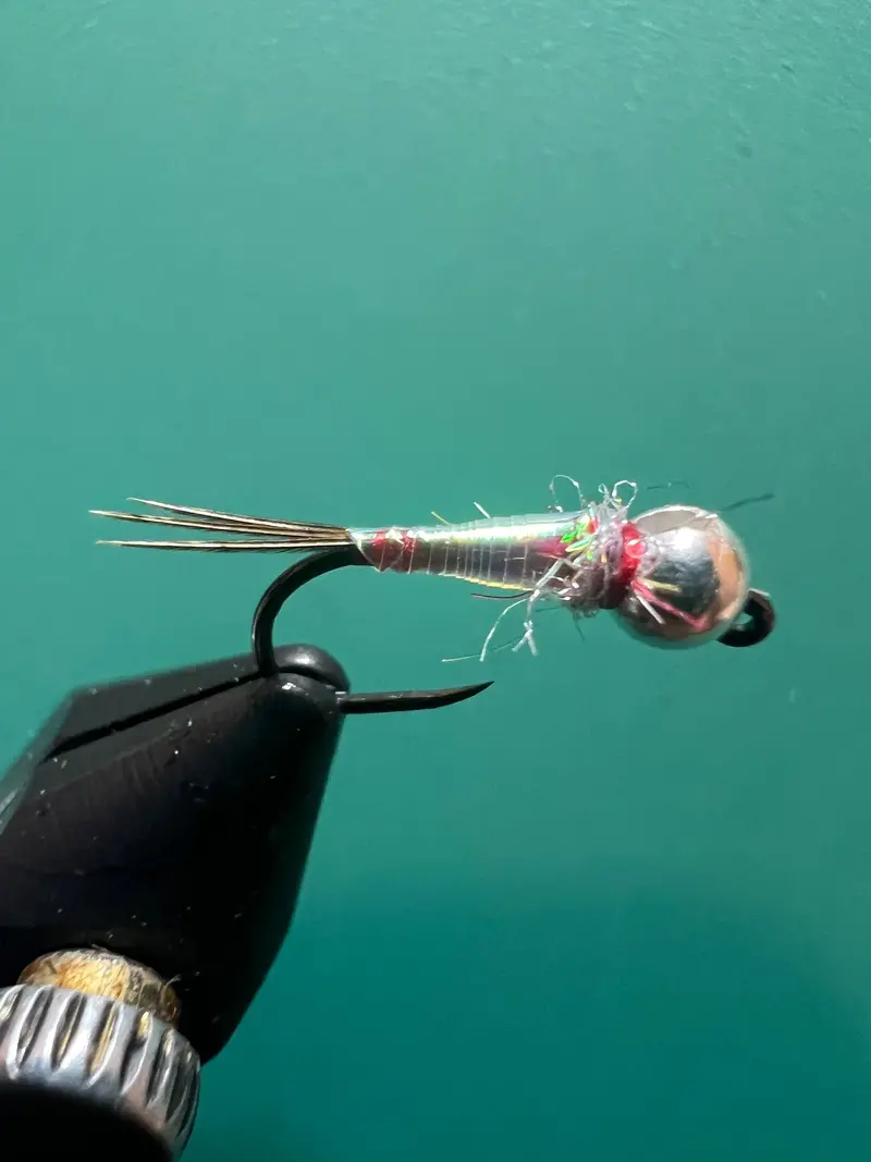 Pearl Rainbow Warrior Dry Fly