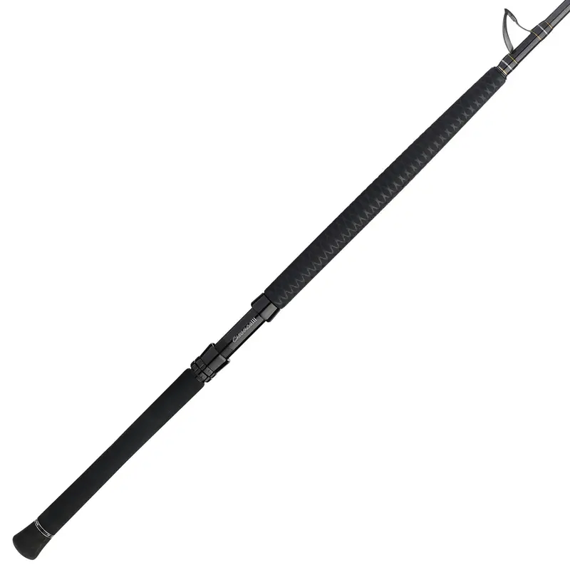Penn Carnage III West Coast Rail Rods – Inshore & Pier Fishing Specialized Rods