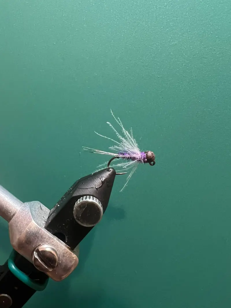 Purple Duracell Nymph