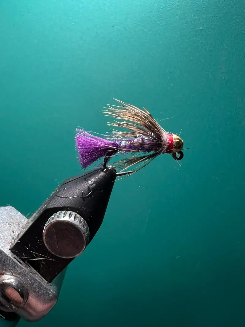 Purple Hare’s Ear Nymph