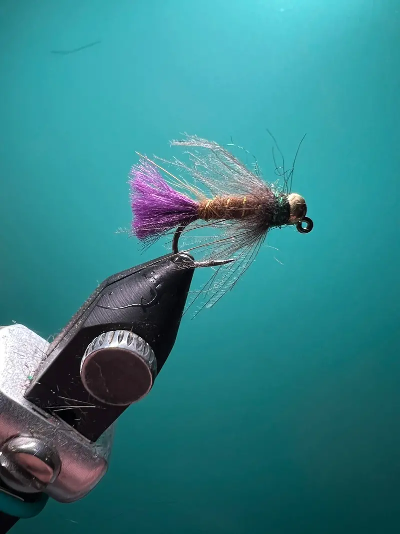 Purple Tail CDC Emerger