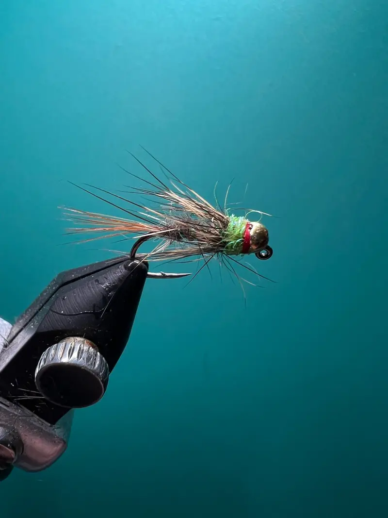 Red and Green Euro Nymph Fly