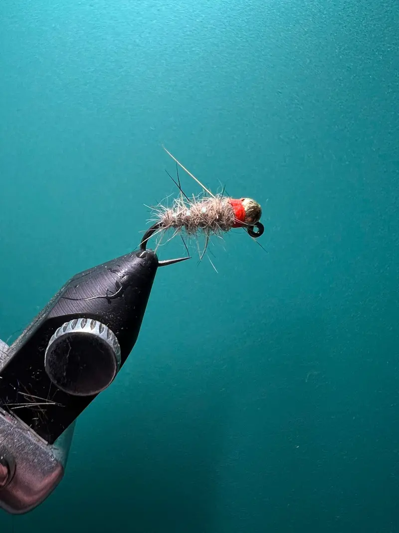 Sexy Walt’s Worm Soft-Hackle Pattern